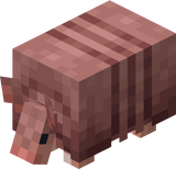 Armadillo