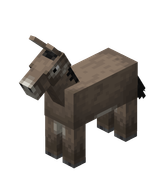 Donkey