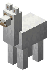Llama