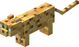 Ocelot