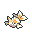 Goldeen