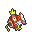 Magikarp (F)