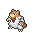 Ursaring