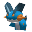Swampert