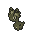 Amaura