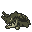 Drednaw