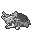 Drednaw