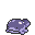 Clodsire